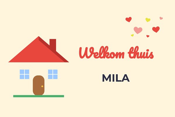 Vlagontwerp Welkom thuis huisje